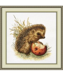 Beldizart (Discontinued) Prickly Gourmet S724