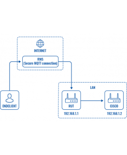 TELTONIKA NETWORKS TELTONIKA RMS