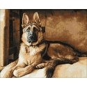 Beldizart Shepherd 48*38 cm WD184 Beldizart Shepherd 48*38 cm WD184