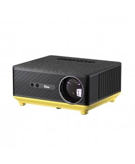 Sponge Projector Šilelis P-5