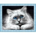 Beldizart Blue-eyed cat 40x30 cm AZ-1761
