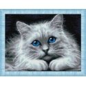 Beldizart Blue-eyed cat 40x30 cm AZ-1761