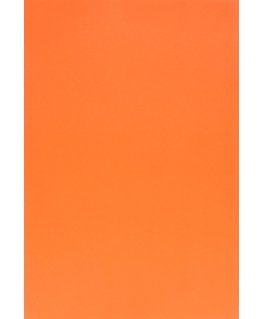 Evelatus Universal Universal 3M Matte Color Film for Screen Cutter Orange