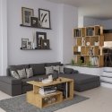 Topeshop FIESTA 4P ARTISAN living room bookcase