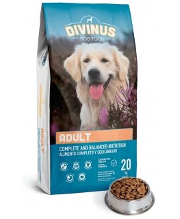 DIVINUS Adult 20 kg Täiskasvanu