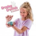 SES Crystal Growing Kit SES Crystal Growing Kit