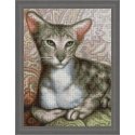 Beldizart (Discontinued) Oriental Shorthair 30x40 cm AZ-1728 Beldizart (Discontinued) Oriental Shorthair 30x40 cm AZ-1728