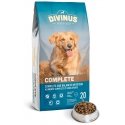 DIVINUS Complete 20 kg Adult