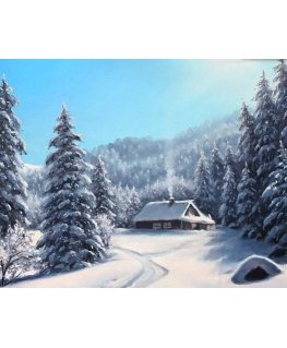Beldizart Winter day 50*40 cm WD2610