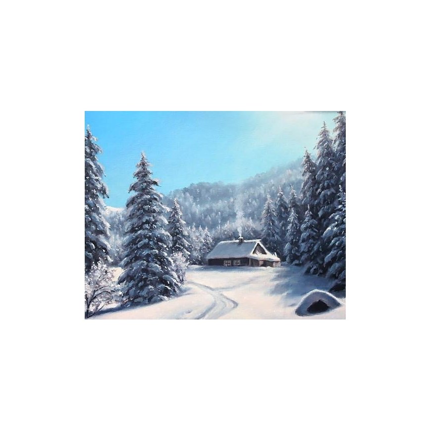 Beldizart Žiemos diena 50*40 cm WD2610