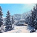 Beldizart Winter day 50*40 cm WD2610