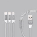 Recci Universal Delicate RCS-H120 3 in 1 Micro USB + 2 x Lightning Fast Charging 1,2 m Grey Recci Universal Delicate RCS-H120 3 in 1 Micro USB + 2 x Lightning Fast Charging 1,2 m Grey