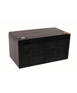 Lean Cars AGM Vehicle Gel Battery 24V10AH Battery