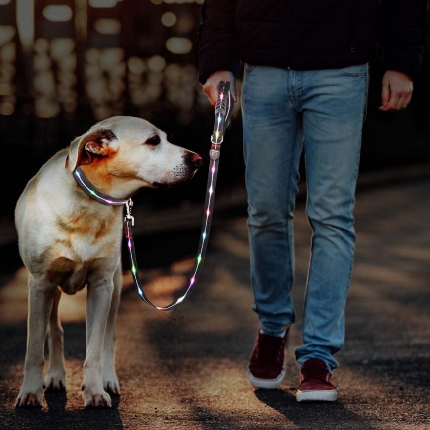Media-Tech Colored LED lighted PVC leash for medium and large dogs, blue – 2