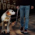 Media-Tech Colored LED lighted PVC leash for medium and large dogs, blue Media-Tech Colored LED lighted PVC leash for medium and large dogs, blue