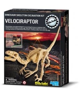 4M Children's Lab: Velociraptor Skeleton