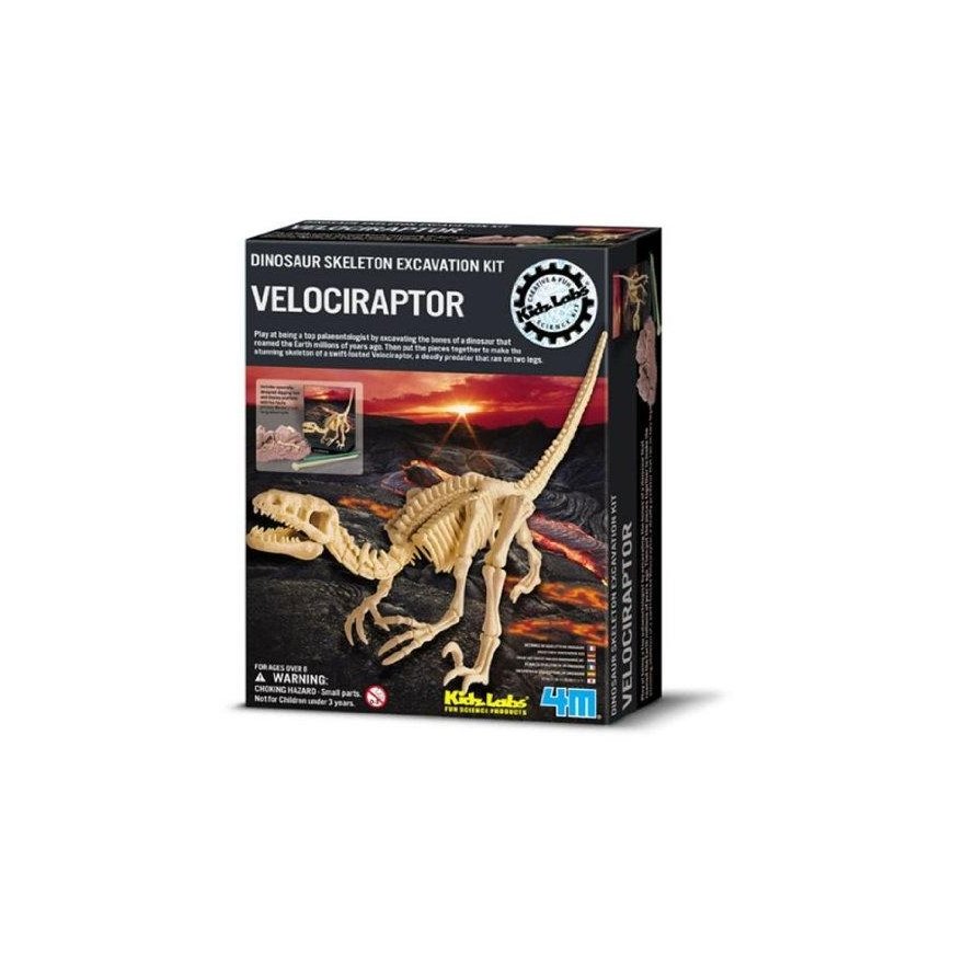 4M Children's Lab: Velociraptor Skeleton