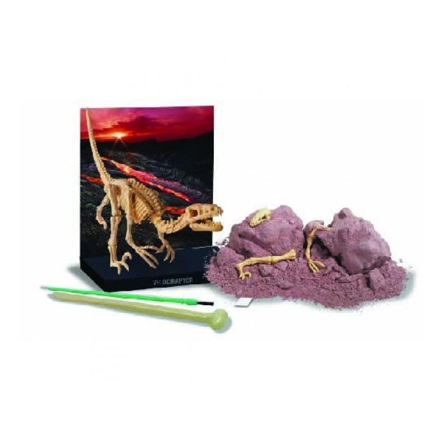 4M Children's Lab: Velociraptor Skeleton – 2