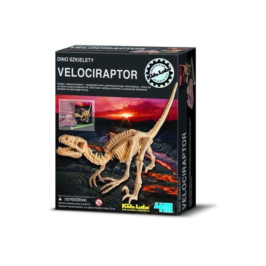 4M Children's Lab: Velociraptor Skeleton – 3