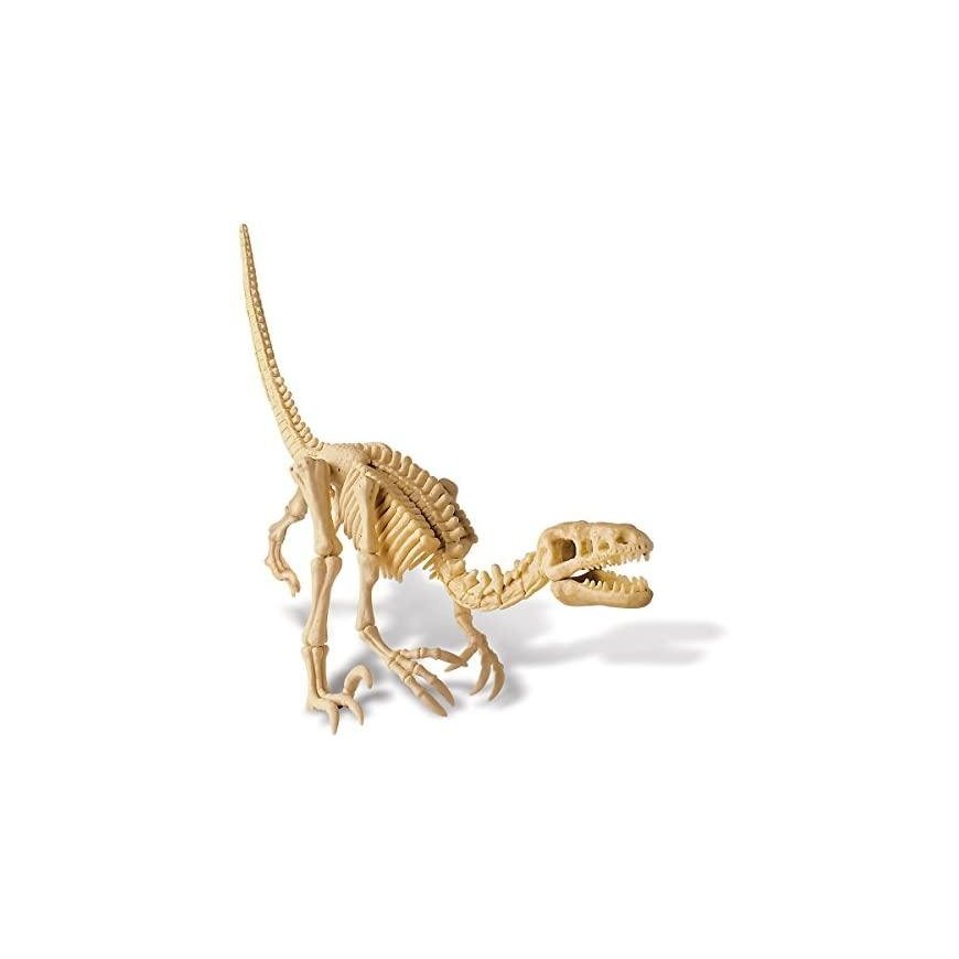 4M Children's Lab: Velociraptor Skeleton – 5