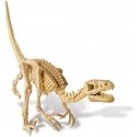 4M Children's Lab: Velociraptor Skeleton 4M Children's Lab: Velociraptor Skeleton