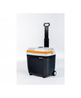 Car Cooler Ravanson 28l CS-28S SUPER AC/DC