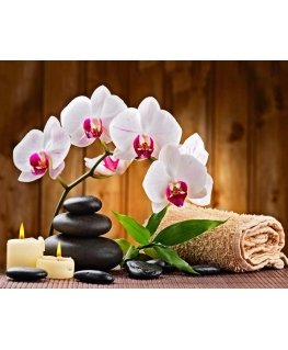 Beldizart Aromatherapy 48*38 cm WD039