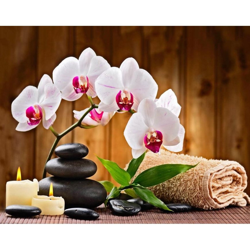 Beldizart Aromatherapy 48*38 cm WD039