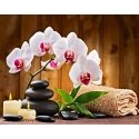 Beldizart Aromatherapy 48*38 cm WD039
