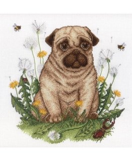 Beldizart Puppy SNV-613