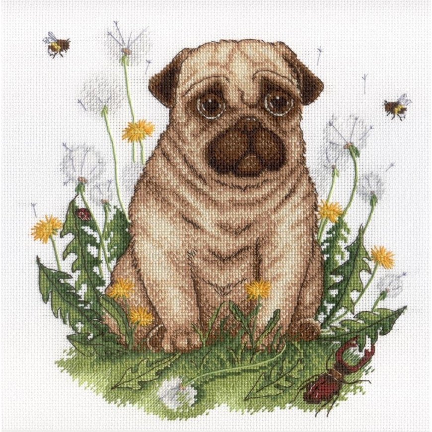 Beldizart Puppy SNV-613
