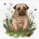 Beldizart Puppy SNV-613 Beldizart Puppy SNV-613