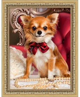 Beldizart Chihuahua with bow ties 30x40 cm AZ-1779