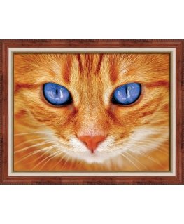 Beldizart Blue-eyed cat 40х30 cm AZ-1716