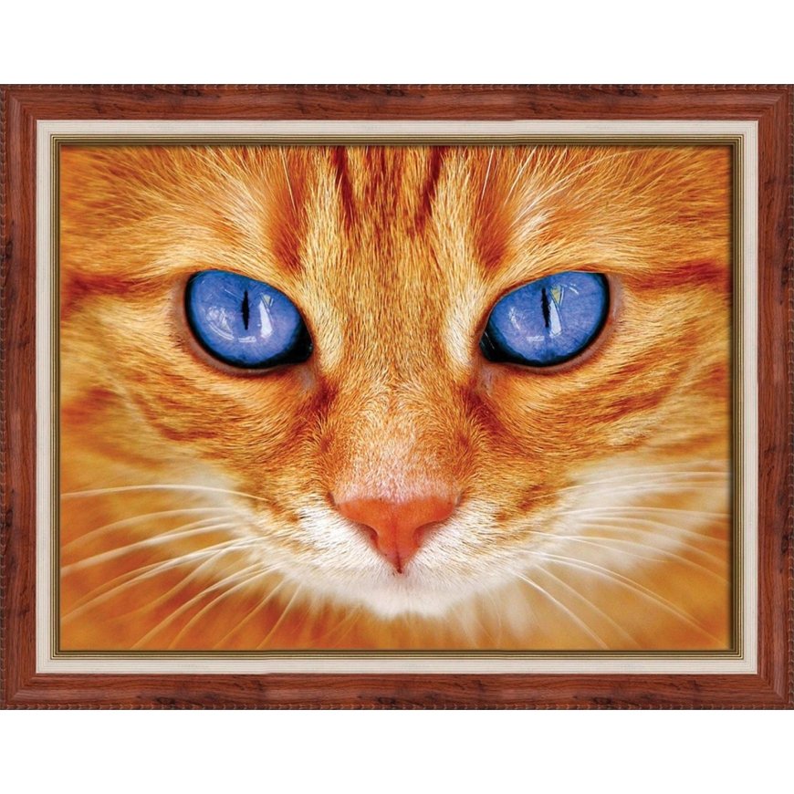 Beldizart Blue-eyed cat 40х30 cm AZ-1716