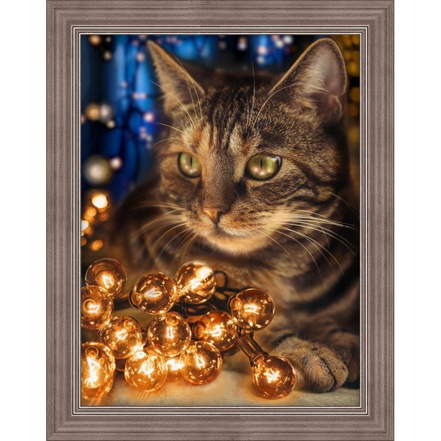 Beldizart Fluffy Rascal 30x40 cm AZ-1694