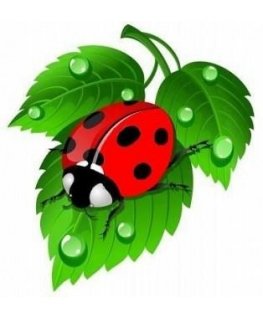 Beldizart Deimantinio dažymo rinkinys Ladybug 20x20 cm AZ-1115
