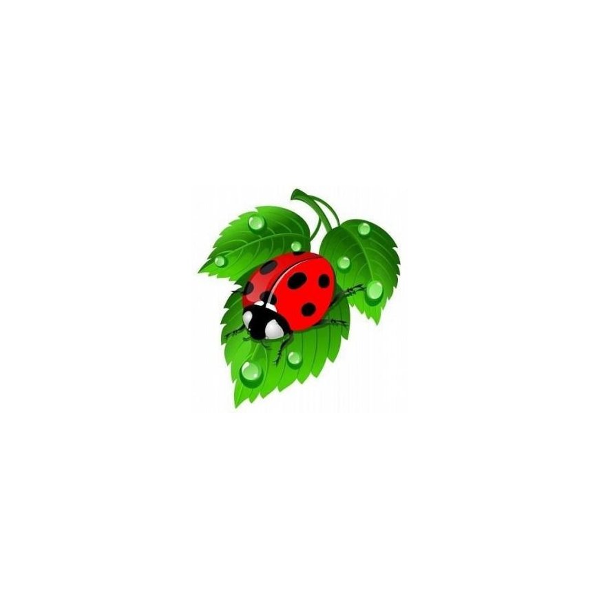 Beldizart Diamond Painting Kit Ladybug 20x20 cm AZ-1115