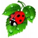 Beldizart Deimantinio dažymo rinkinys Ladybug 20x20 cm AZ-1115 Beldizart Deimantinio dažymo rinkinys Ladybug 20x20 cm AZ-1115
