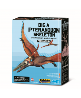 4M Excavation set "Pteranodon