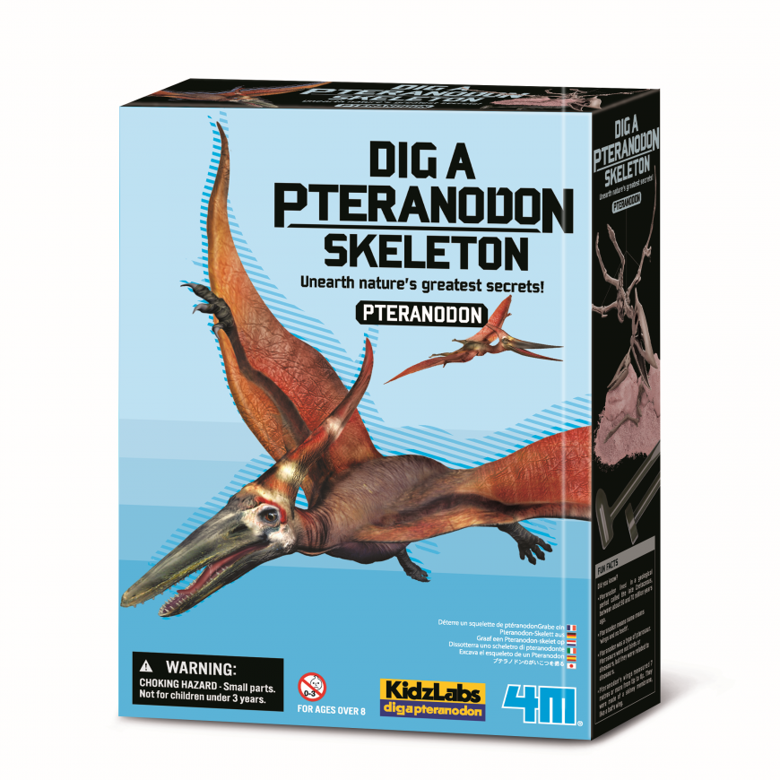 4M Excavation set "Pteranodon