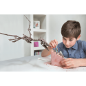 4M Excavation set "Pteranodon