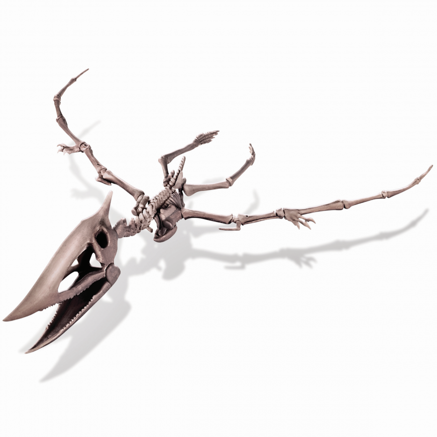 4M Excavation set "Pteranodon – 5