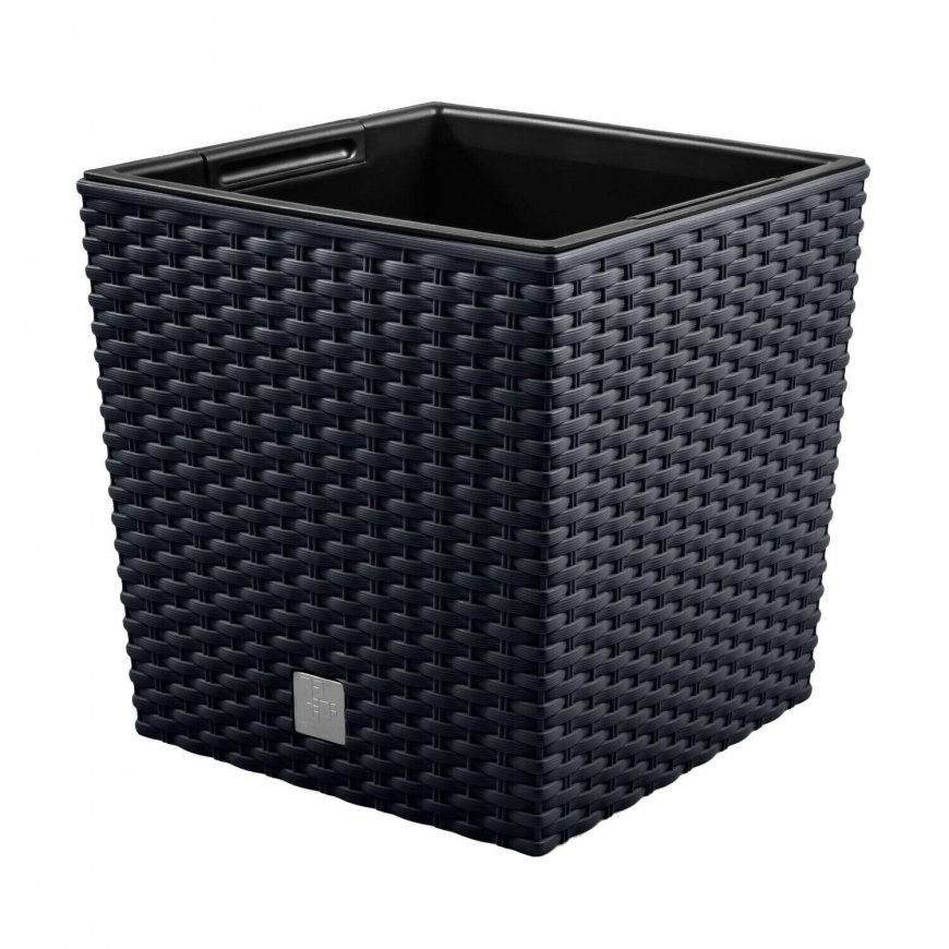 Prosperplast Pot Rato Low – 2