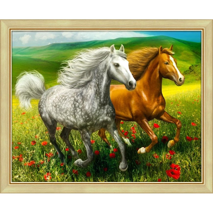 Beldizart Arkliai pievoje 50x40 cm AZ-1766