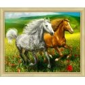 Beldizart Arkliai pievoje 50x40 cm AZ-1766
