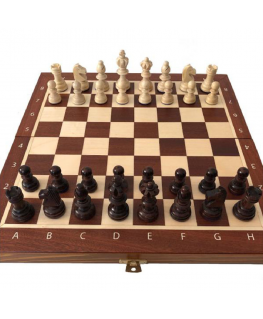 Magiera Rafa Chess Mag