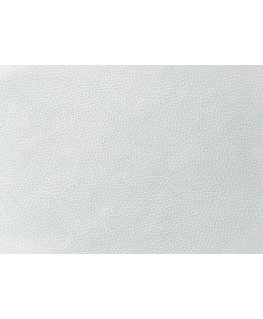 Evelatus Universal Tablet Universal High Quality Leather Skin Film for Cutter White