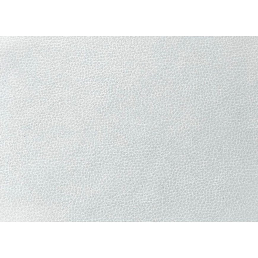 Evelatus Universal Tablet Universal High Quality Leather Skin Film for Cutter White