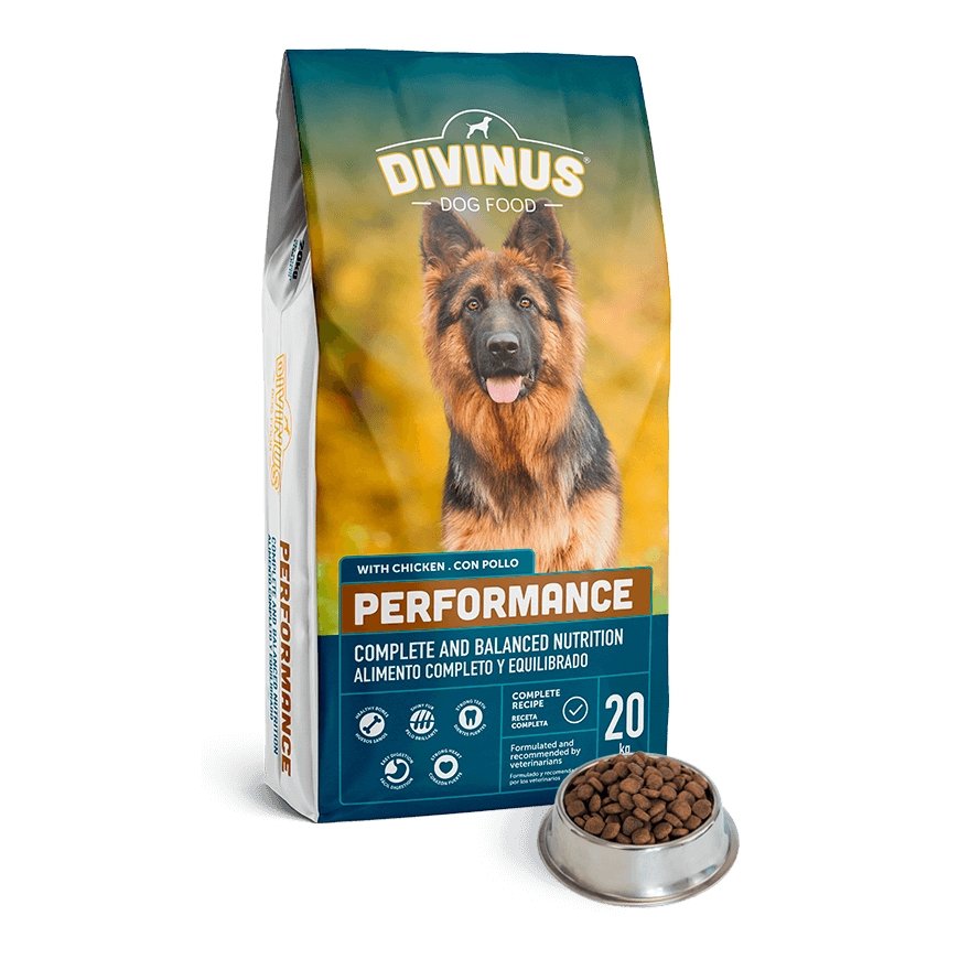DIVINUS Performance 20 kg Pieaudzis suns